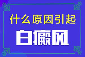 白颠病不能吃那些食物